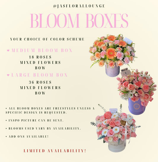 BLOOM BOXES